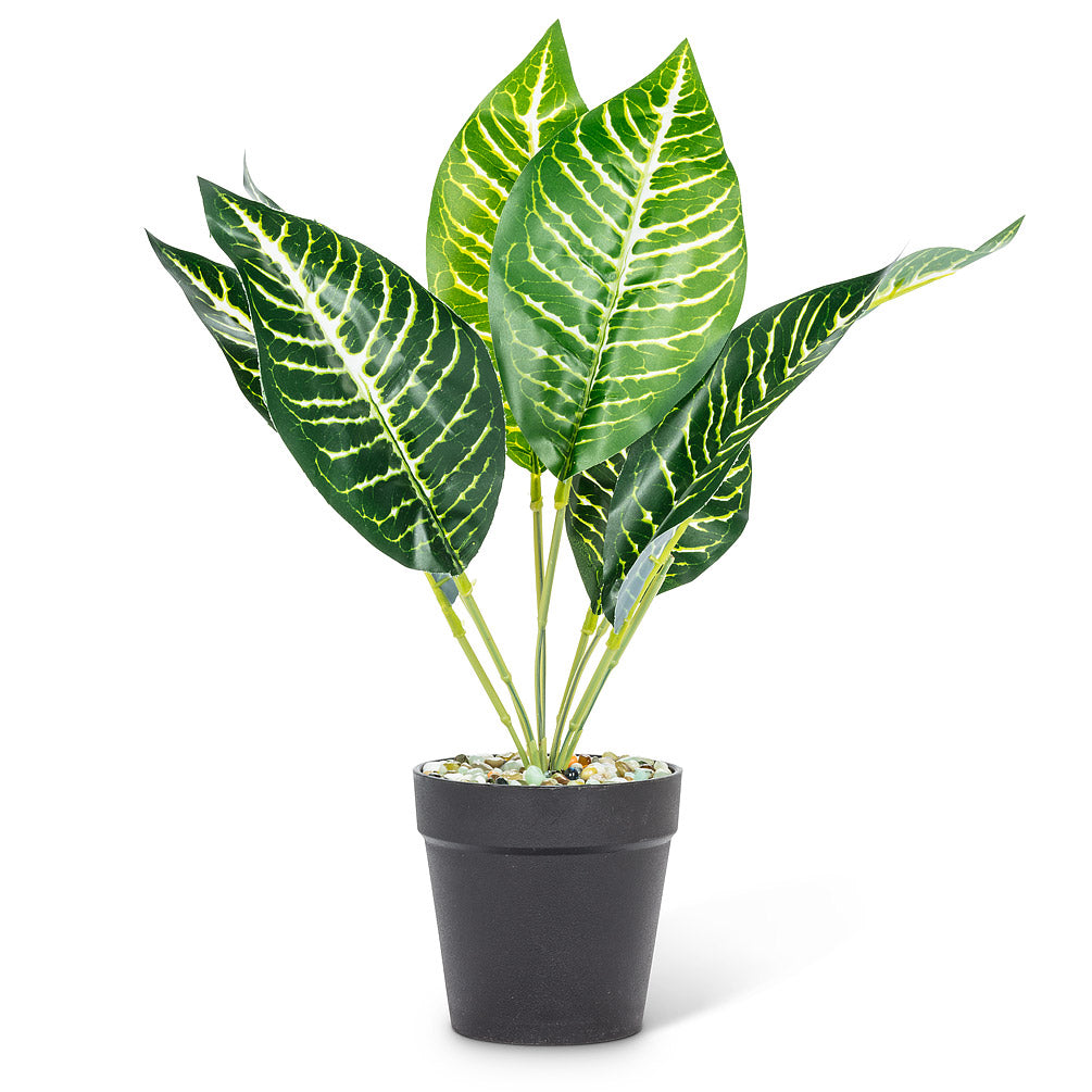 Faux Varigated Leaf Plant