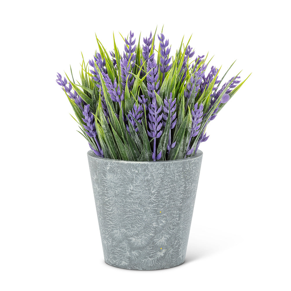 Lavender Plant Pot