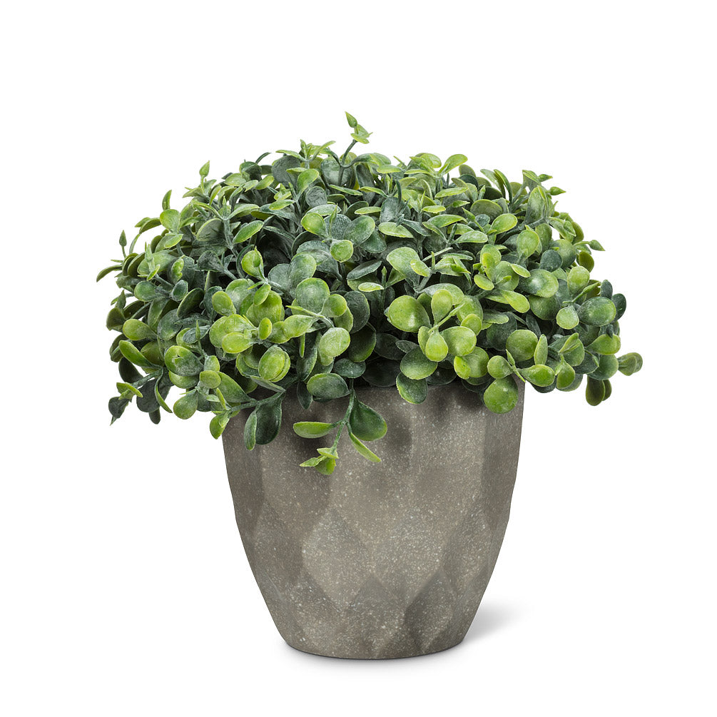 Green Teardrop Leaf Plant Pot
