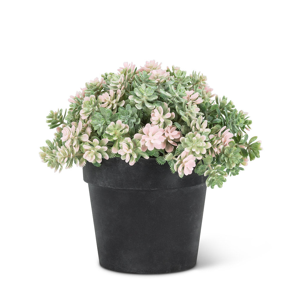 Petite Flower Plant Pot