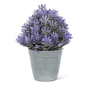 Purple Cone Flower Plant Pot