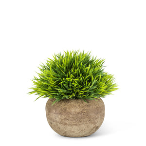 Small Grassy Plant Pot