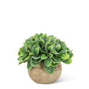 Small Spade Leaf Plant Pot
