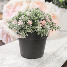 Load image into Gallery viewer, Petite Flower Plant Pot
