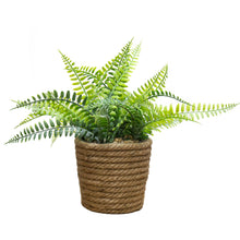 Load image into Gallery viewer, Fern in Twine Pot
