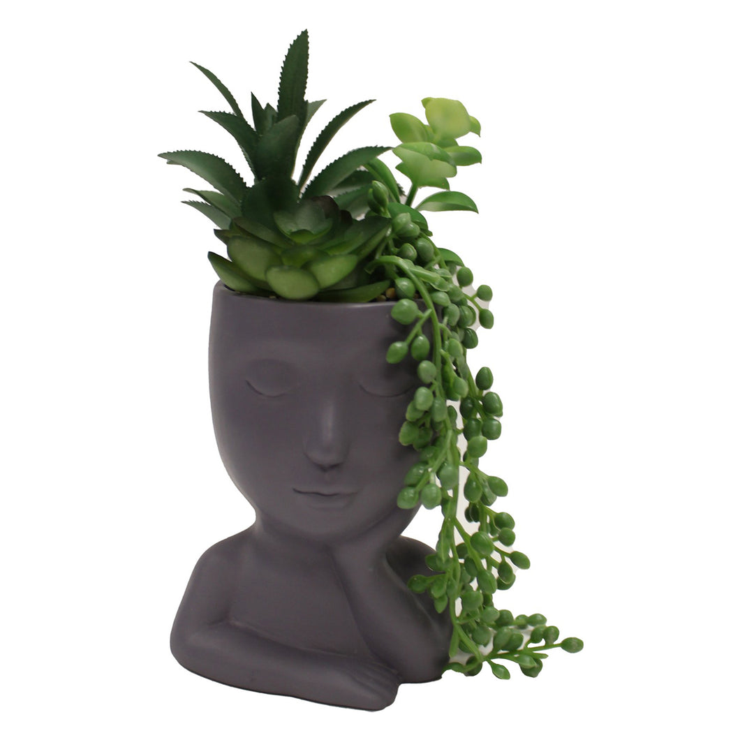 Plant Head